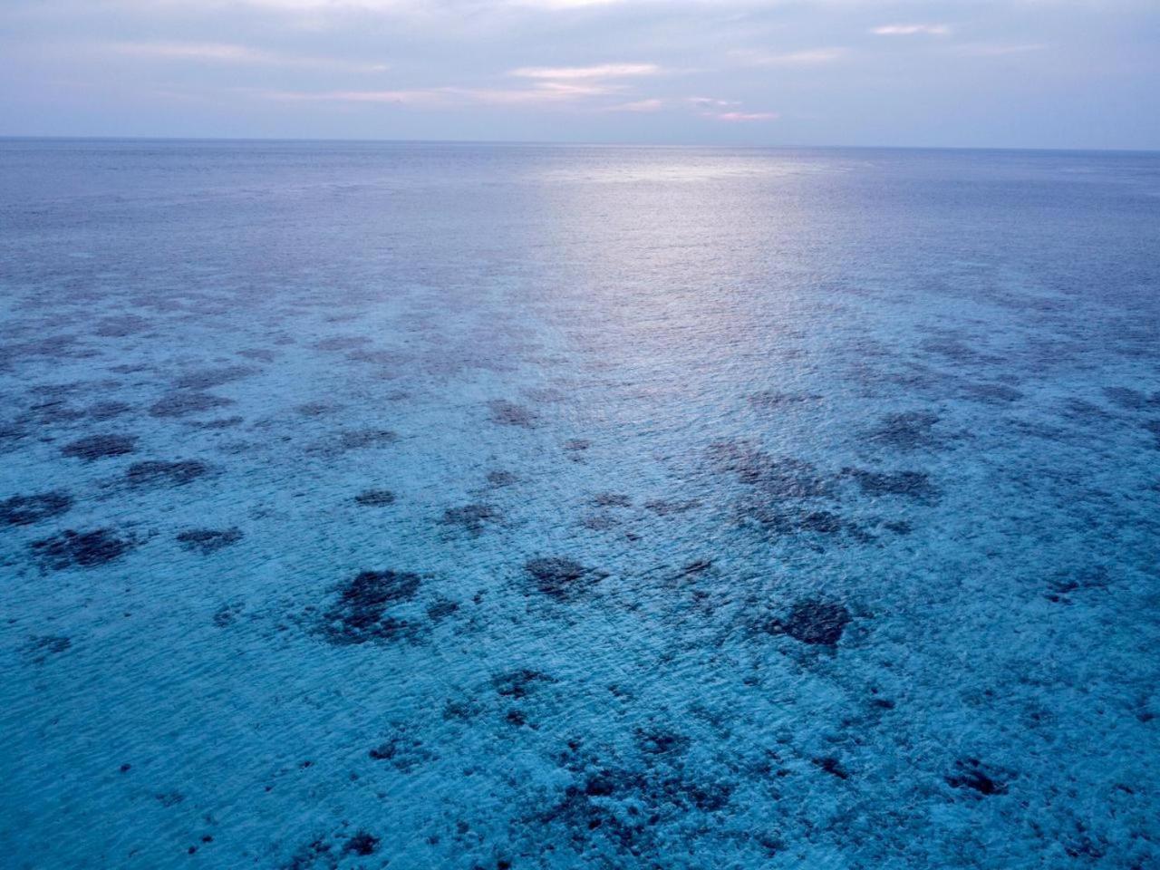 Asia Inn Maldives Hangnaameedhoo Exteriör bild